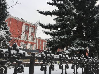 photo 5188361953343553616 y